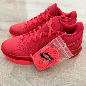 Nike LeBron 21 'James Gang' HF5951-600 Size 11.5